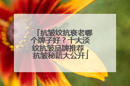 抗皱纹抗衰老哪个牌子好？十大淡纹抗皱品牌推荐，抗皱秘籍大公开