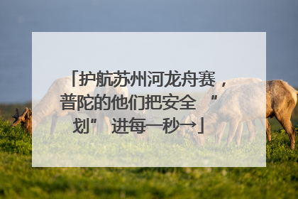 护航苏州河龙舟赛，普陀的他们把安全 “划” 进每一秒→
