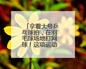 拿着大号乒乓球拍，在羽毛球场地打网球！这项运动正风靡江城