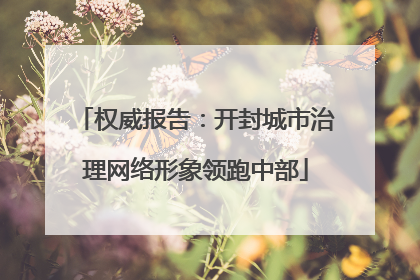 权威报告：开封城市治理网络形象领跑中部