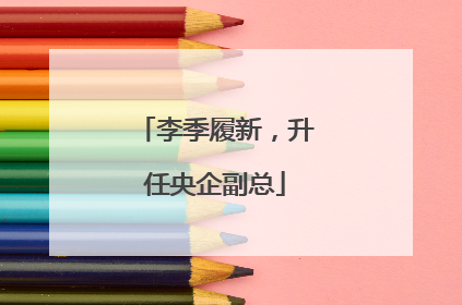 李季履新，升任央企副总