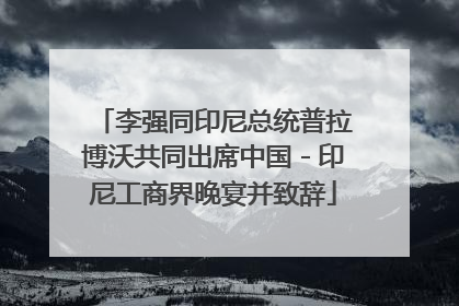 李强同印尼总统普拉博沃共同出席中国－印尼工商界晚宴并致辞