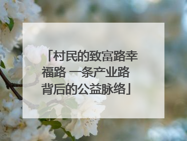 村民的致富路幸福路 一条产业路背后的公益脉络