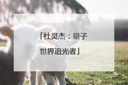 杜灵杰：量子世界追光者