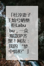 杜淳妻子王灿兮晒整柜Labubu，一众爆款IP齐聚！网友：我的 “梦中情柜”