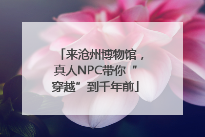来沧州博物馆，真人NPC带你“穿越”到千年前