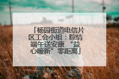 杨园街道电信片区工会小组：粽情端午送安康 “益心暖新”零距离