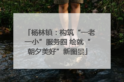 杨林镇：构筑“一老一小”服务圈 绘就“朝夕美好”新图景