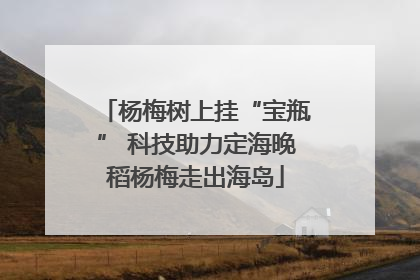 杨梅树上挂“宝瓶” 科技助力定海晚稻杨梅走出海岛