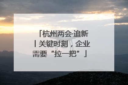 杭州两会·追新丨关键时刻，企业需要“拉一把”