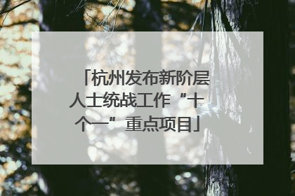 杭州发布新阶层人士统战工作“十个一”重点项目