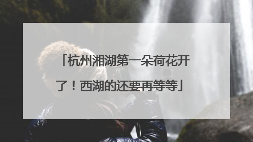 杭州湘湖第一朵荷花开了！西湖的还要再等等