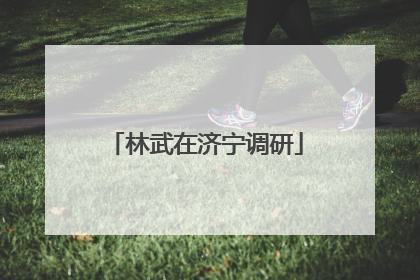 林武在济宁调研