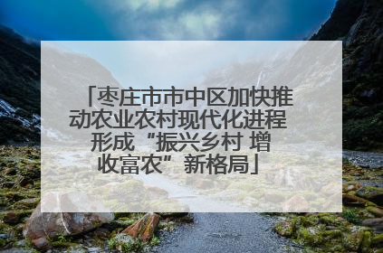 枣庄市市中区加快推动农业农村现代化进程 形成“振兴乡村 增收富农”新格局