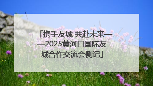 携手友城 共赴未来——2025黄河口国际友城合作交流会侧记