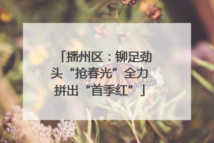 播州区：铆足劲头“抢春光”全力拼出“首季红”