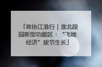 政协江淮行｜淮北段园新型功能区：“飞地经济”拔节生长