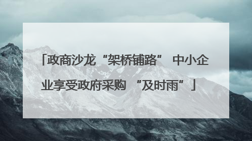 政商沙龙“架桥铺路” 中小企业享受政府采购 “及时雨”