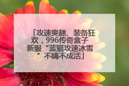 攻速爽翻、装备狂欢，996传奇盒子新服“蓝猫攻速冰雪”不嗨不成活