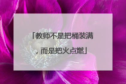 教师不是把桶装满，而是把火点燃
