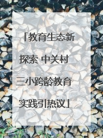教育生态新探索 中关村三小跨龄教育实践引热议