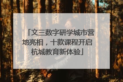 文三数字研学城市营地亮相，十款课程开启杭城教育新体验