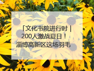 文化书院进行时｜200人激战夏日！淄博高新区这场羽毛球比赛太酷