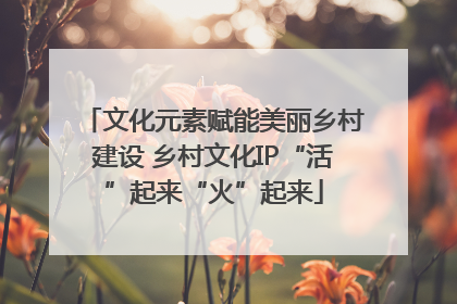 文化元素赋能美丽乡村建设 乡村文化IP“活”起来“火”起来