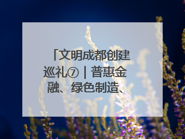 文明成都创建巡礼⑦｜普惠金融、绿色制造、公益助学展现城市文明底色