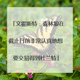 文霍斯特：森林狼在截止日前非常认真地想要交易得到杜兰特