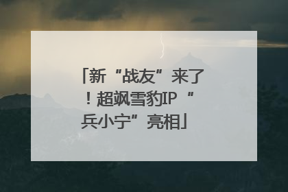 新“战友”来了！超飒雪豹IP“兵小宁”亮相