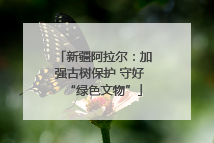 新疆阿拉尔：加强古树保护 守好“绿色文物”