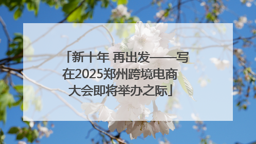 新十年 再出发——写在2025郑州跨境电商大会即将举办之际