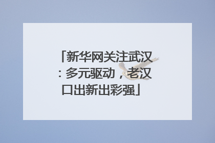 新华网关注武汉：多元驱动，老汉口出新出彩强