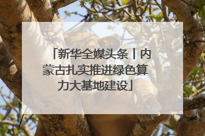 新华全媒头条丨内蒙古扎实推进绿色算力大基地建设