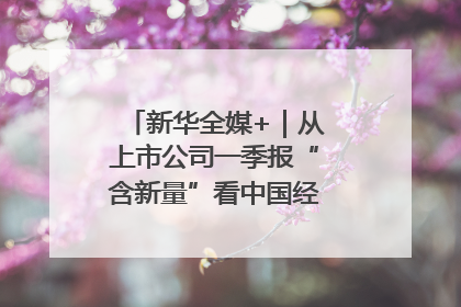 新华全媒+｜从上市公司一季报“含新量”看中国经济发展向“新”