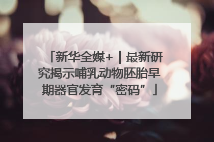 新华全媒+｜最新研究揭示哺乳动物胚胎早期器官发育“密码”