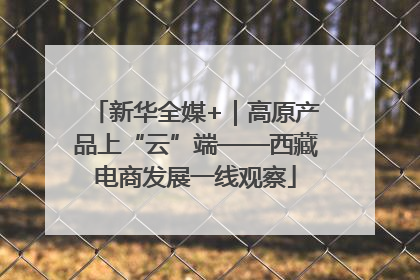 新华全媒+｜高原产品上“云”端——西藏电商发展一线观察
