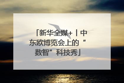 新华全媒+丨中东欧博览会上的“数智”科技秀