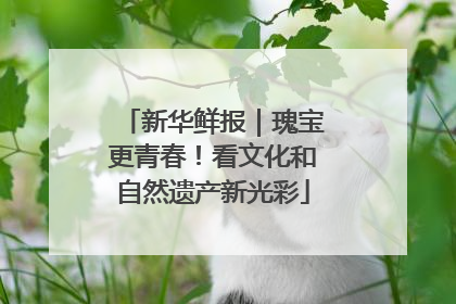 新华鲜报｜瑰宝更青春！看文化和自然遗产新光彩