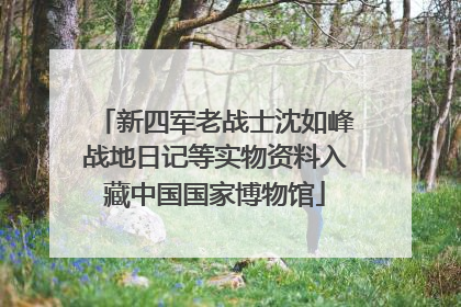 新四军老战士沈如峰战地日记等实物资料入藏中国国家博物馆