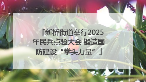 新桥街道举行2025年民兵点验大会 锻造国防建设“拳头力量”