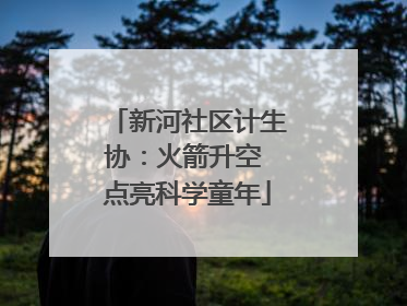 新河社区计生协：火箭升空 点亮科学童年