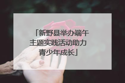 新野县举办端午主题实践活动助力青少年成长