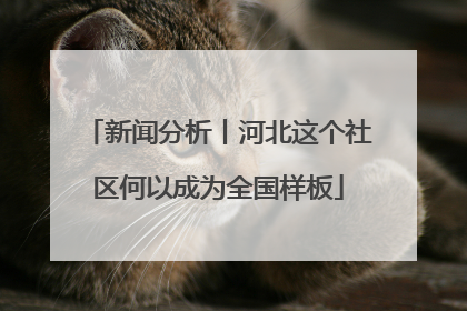 新闻分析丨河北这个社区何以成为全国样板