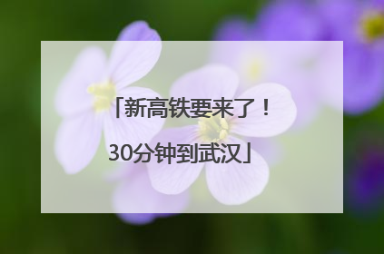 新高铁要来了！30分钟到武汉