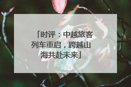 时评：中越旅客列车重启，跨越山海共赴未来