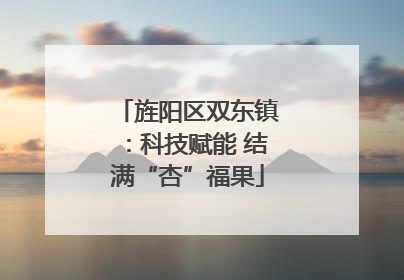 旌阳区双东镇：科技赋能 结满“杏”福果