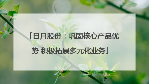 日月股份：巩固核心产品优势 积极拓展多元化业务