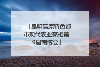 昆明高原特色都市现代农业亮相第9届南博会
